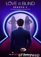 Love Is Blind (2020) Hindi Dubbed Season 1 Complete Show