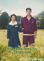 When Life Gives You Tangerines (2025) Season 1 EP05 To E08 Hindi Dubbed Web Series