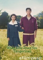 When Life Gives You Tangerines (2025) Season 1 EP13 To EP16 Hindi Dubbed Web Series